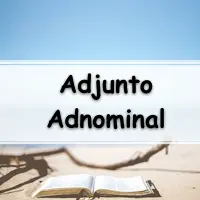 Lista de Exercícios sobre Adjunto Adnominal Gabarito Exercícios Web