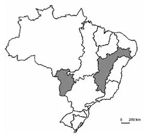 mapa hidrografia do Brasil