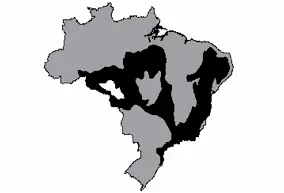 mapa estrutura geológica brasileira