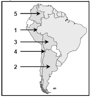 mapa do Brasil e suas regiões exercícios