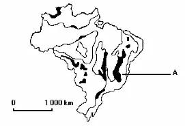 recursos minerais do Brasil mapa