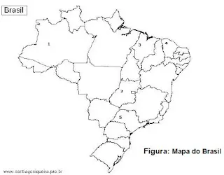 regiões brasileiras atividades numeradas