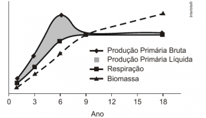 gráfico rodução primária bruta, produção primária líquida, respiração e biomassa ao longo de uma sucessão ecológica