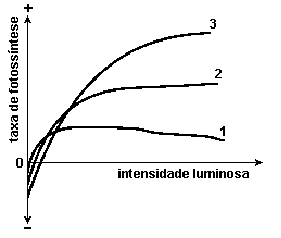 gráfico luminosidade três estágios diferentes de sucessão ecológica