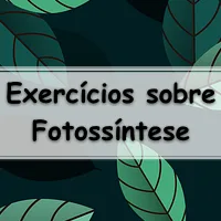 lista com os melhores exercícios sobre fotossíntese para passar no enem e vestibular
