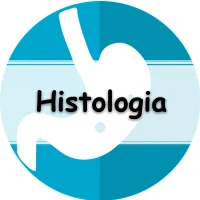 lista com os melhores exercícios sobre histologia para passar no enem e concurso