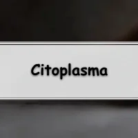 Lista com os melhores exercícios de citologia sobre o citoplasma celular para passar em concurso