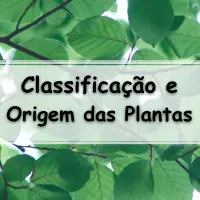 simulado completo com gabarito sobre a Origem e Classificação das Plantas