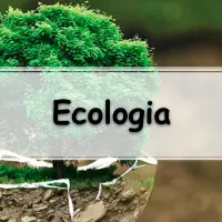 simulado completo com exercícios sobre ecologia para enem e vestibular