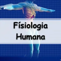 lista de exercícios sobre Fisiologia Humana para passar no Enem e vestibular