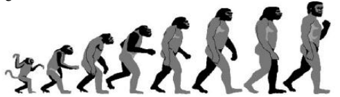 evolução do Homo sapiens