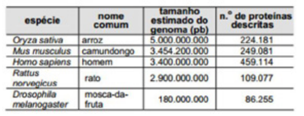 Linkage E Mapeamento Dos Genes Nos Cromossomos Exercícios | Exercícios Web