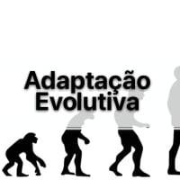 Formas de Adaptação exercícios com gabarito para passar no vestibular