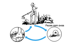 ilustração contaminação do homem por um parasita