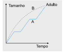 exercício gráfico do crescimento de um artrópode ao longo do tempo