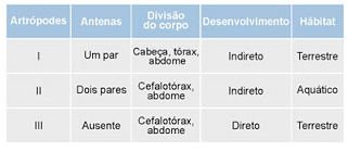 tabela com características de uma classe de artrópodes
