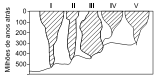 representação da evolução dos grandes grupos de vertebrados atuais dotados de mandíbula