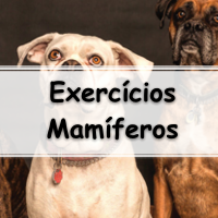 lista de exercícios sobre mamíferos para passar no enem, vestibular e concurso público