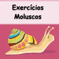 simulado com questões resolvidas sobre os moluscos