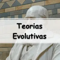 Exercícios sobre as Teorias Evolutivas com gabarito para passar no enem