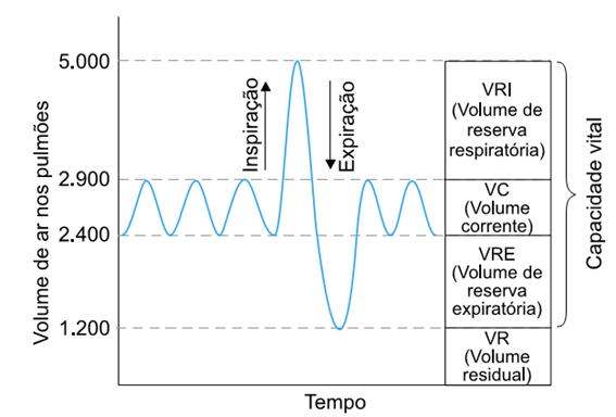Sistema Respiratório Humano gráfico volume de ar nos pulmões e tempo