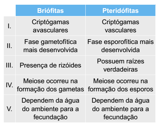 tabela características de briófitas e de pteridófitas