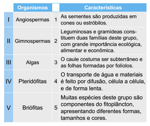 tabela organismos fotossintetizantes e suas caracteristicas