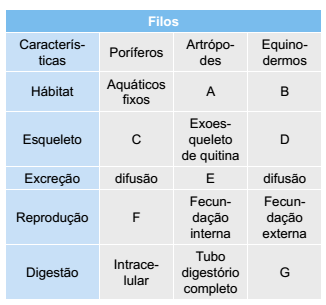 tabela características equinodermos