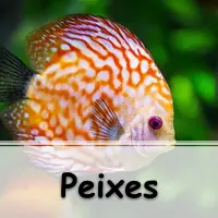 lista com 10 exercício sobre Peixes Ósseos e Cartilaginosos