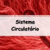 lista de exercícios sobre o Sistema Circulatório dos Vertebrados