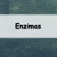 lista de questões sobre enzimas para passar no enem e vestibular