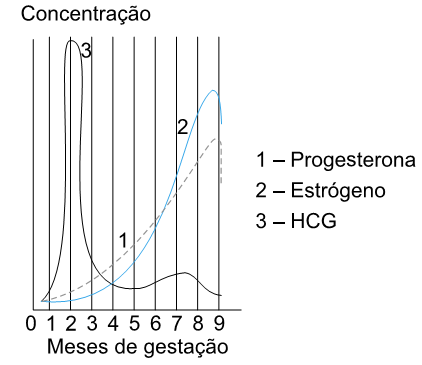 gráfico variação nos níveis de concentração de três hormônios durante o processo normal da gestação humana