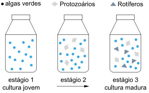 frascos contendo comunidades de plâncton em estágios de sucessão