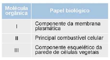 tabela de moléculas orgânicas e papel biológico