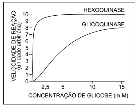 velocidades de reação das enzimas hexoquinase e glicoquinase em função da concentração da glicose