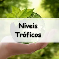 simulado com lista de 10 exercícios sobre Níveis Tróficos com gabarito