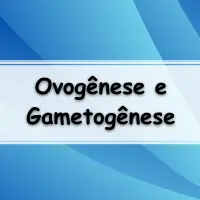 Gametogênese Exercícios com Gabarito