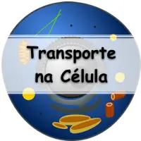lista de exercícios sobre transporte ativo na células