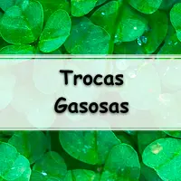 trocas gasosas exercícios nas plantas exercícios com gabarito, para alunos do ensino médio, fundamental e superior.