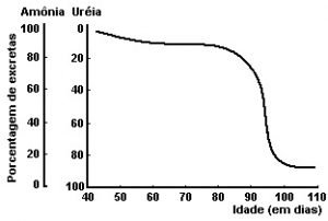 gráfico de medidas da excreção de substâncias nitrogenadas durante a metamorfose de certa espécie de sapos