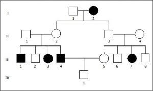 O heredograma abaixo mostra uma família onde encontramos indivíduos não afetados (quadrados e círculos brancos) e afetados por uma anomalia (quadrados e círculos pretos).