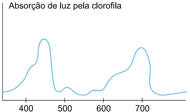 Absorção de luz pela clorofila