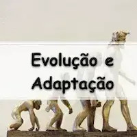 listas dos exercícios sobre Evolução e Adaptação dos Seres Vivos para passar no enem