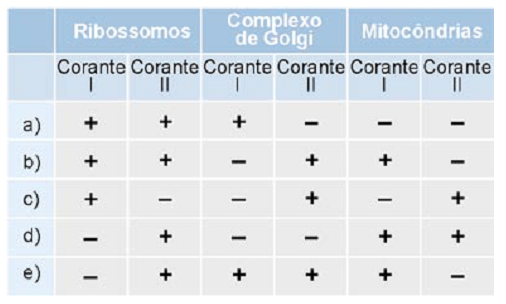 tabela corante ribossomos, complexo de golgi e mitocôndrias