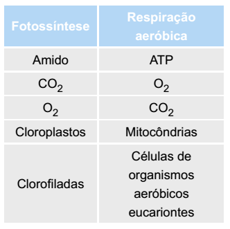 tabela fotossíntese e respiração aeróbica