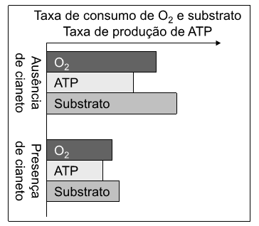 taxa de consumo de o2 e taxa de produção de APT gráfico