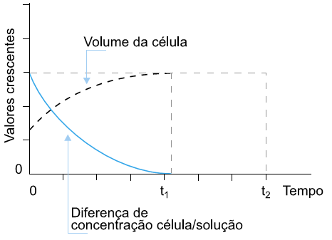 gráfico volume da célula e concentração célula solução