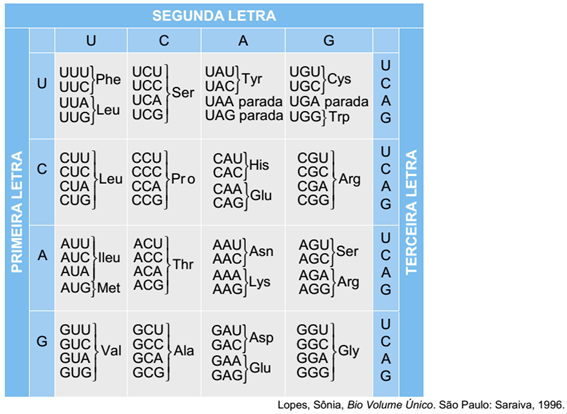 tabela com o código genético, com os códons e os aminoácidos correspondentes
