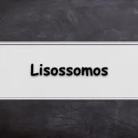 lista de exercícios sobre os lisossomos