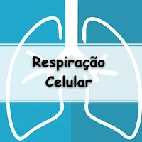 lista de exercícios sobre Respiração Aeróbica com gabarito